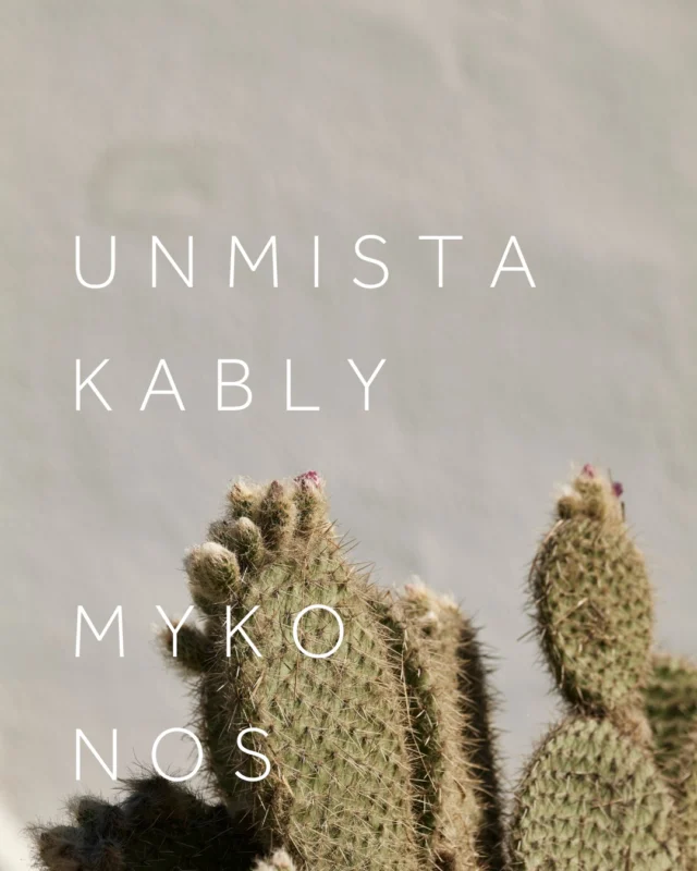 It’s not polished. It’s not perfect. But in the silence of sunrise, this cactus catches light like a crown.
Unmoved. Unbothered. Unmistakably Mykonos.
.
.
.#MyconianSunrise #SunriseMykonos #SunriseBeachHotelMykonos #SunriseHotelMykonos #SunriseHotelAgrari #mykonoshotel #mykonosisland #summertime #slowandsimpledays #poollife #booklove #summerflavors #vacationmode #MyconianCollection