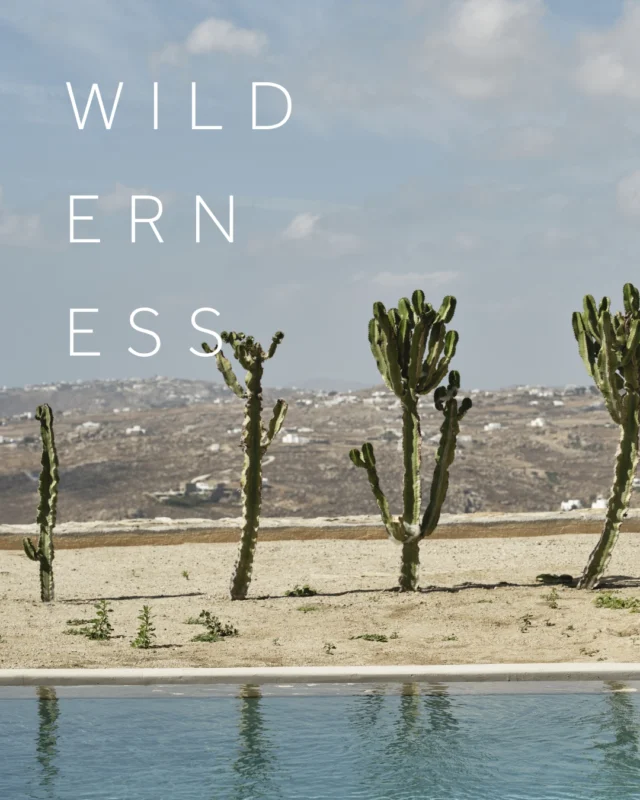 Panoptis Escape rests where the island’s wilderness meets its most elevated form of hospitality, offering guests a sanctuary suspended between nature and quiet indulgence.#myconianpanoptis #MyconianCollection #mykonos #eliabeach